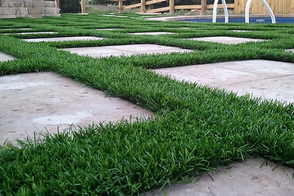 Turf Competitive Advantage